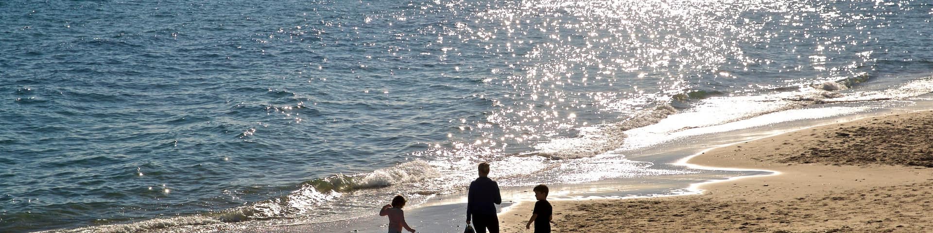 Brighton Beach featuring a sunset, general coastal views and a beach
