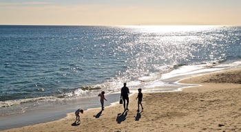 Brighton Beach featuring a sunset, general coastal views and a beach