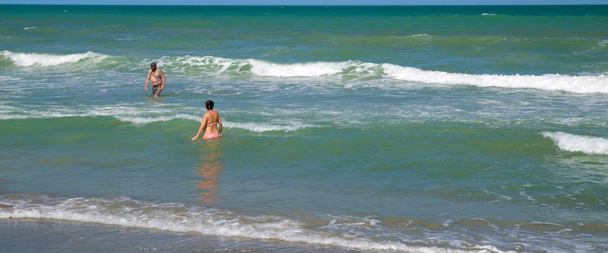 Cocoa Beach which includes general coastal views and swimming as well as a couple