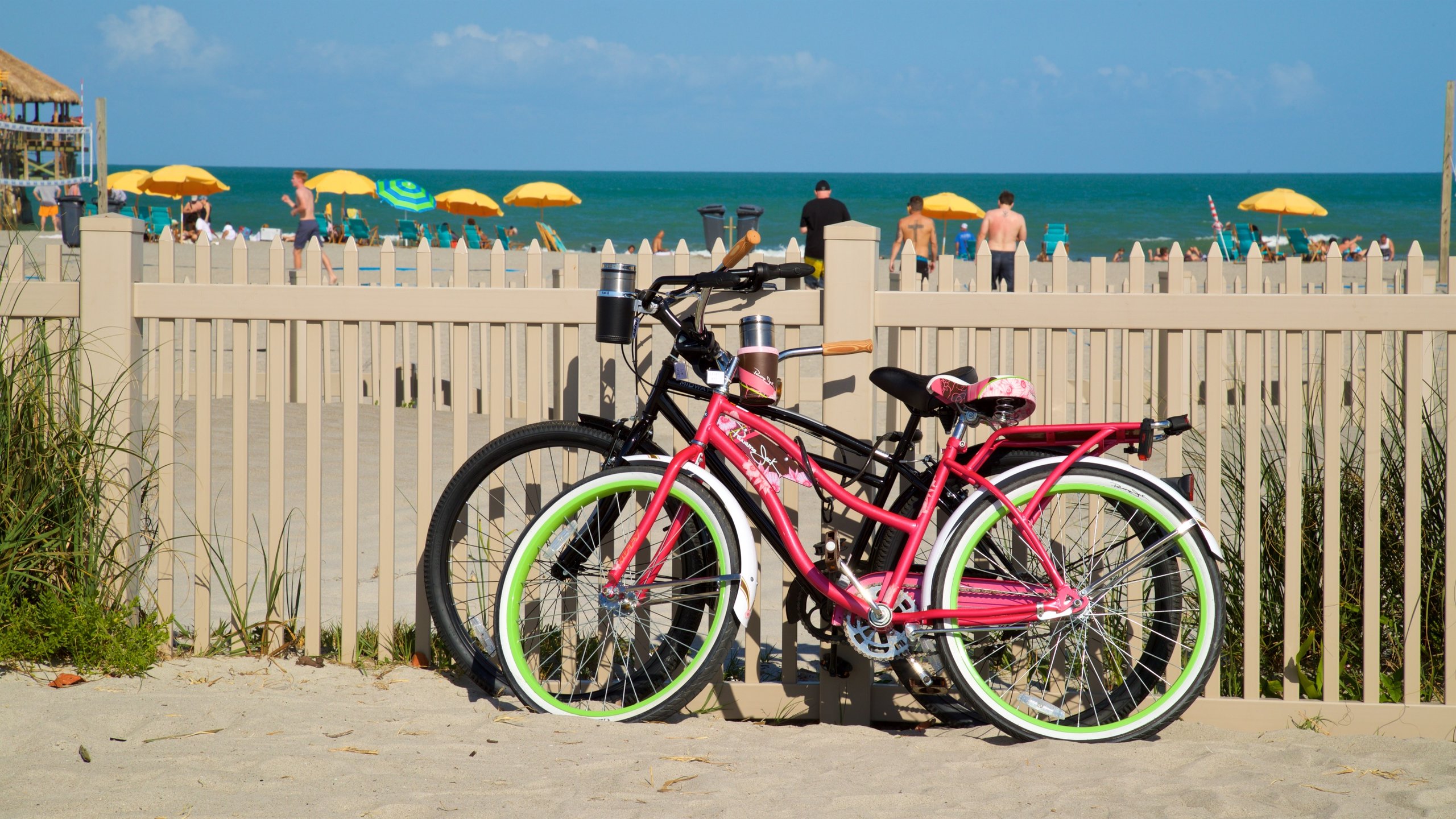 10 TOP Things To Do In Cocoa Beach October 2022 Expedia 10 TOP Things To Do In Cocoa Beach October 2022 Expedia