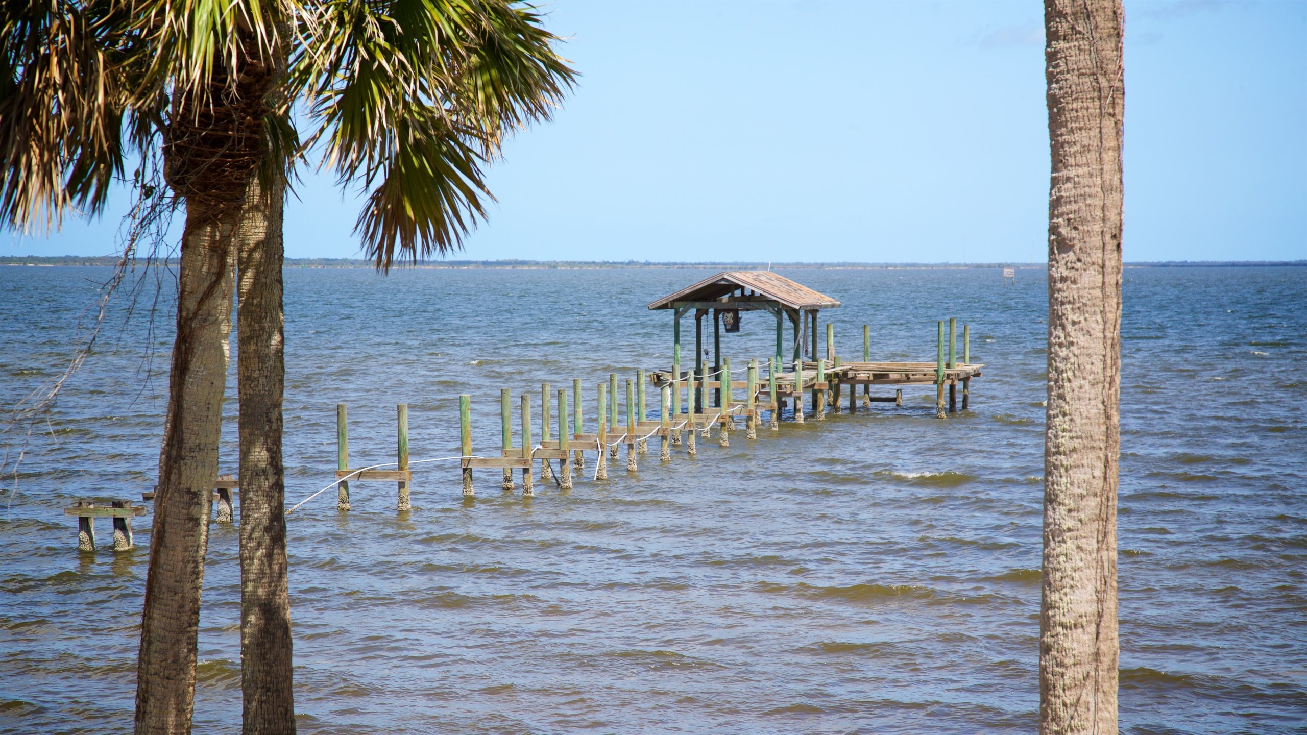 Titusville showing general coastal views