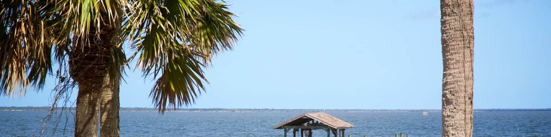 Titusville showing general coastal views