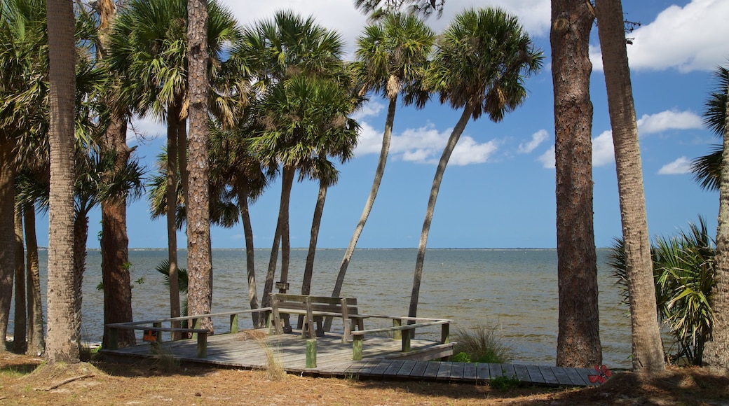 Titusville which includes general coastal views