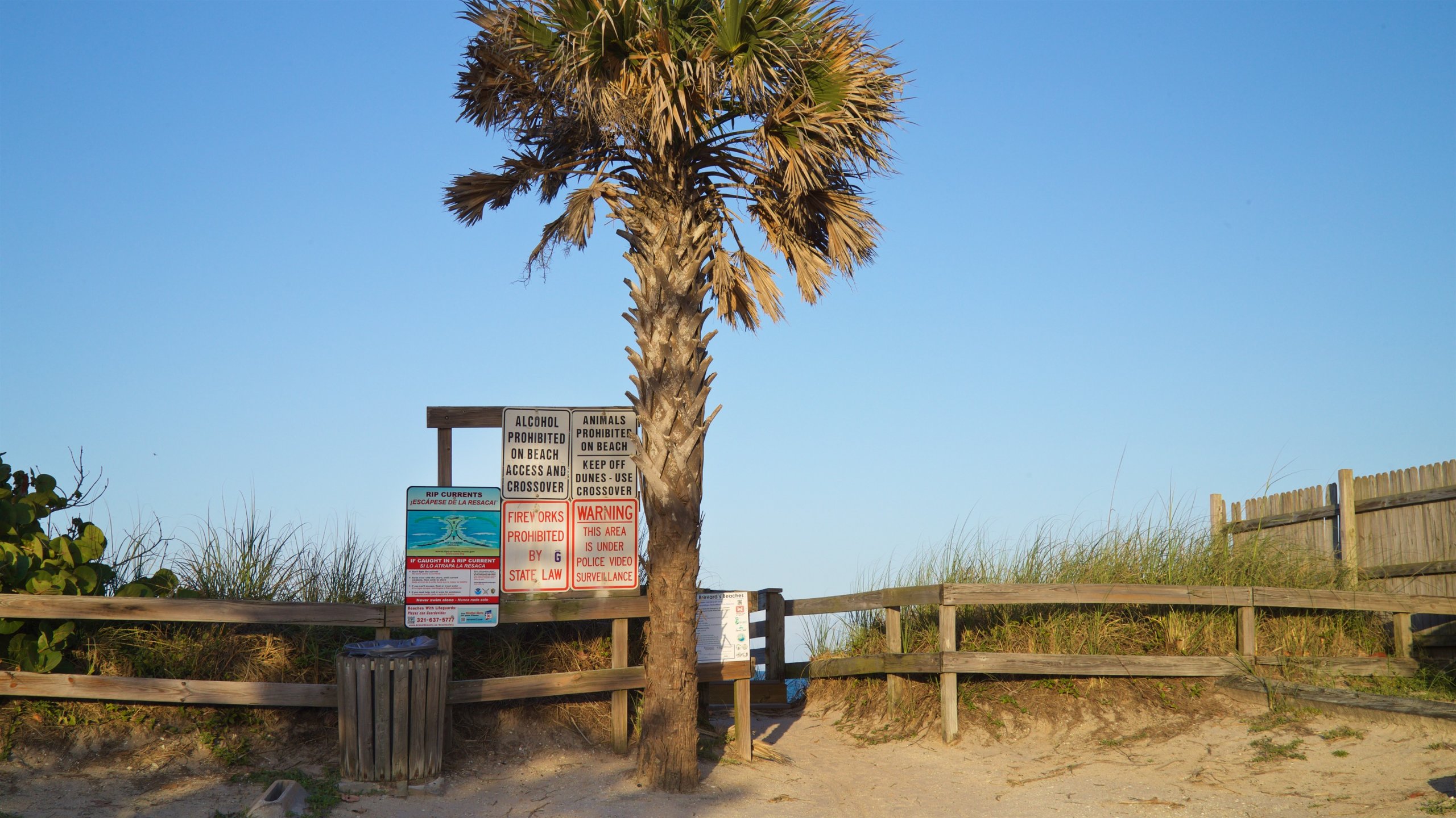 Melbourne Beach Travel Guide: Best of Melbourne Beach, Florida Travel 