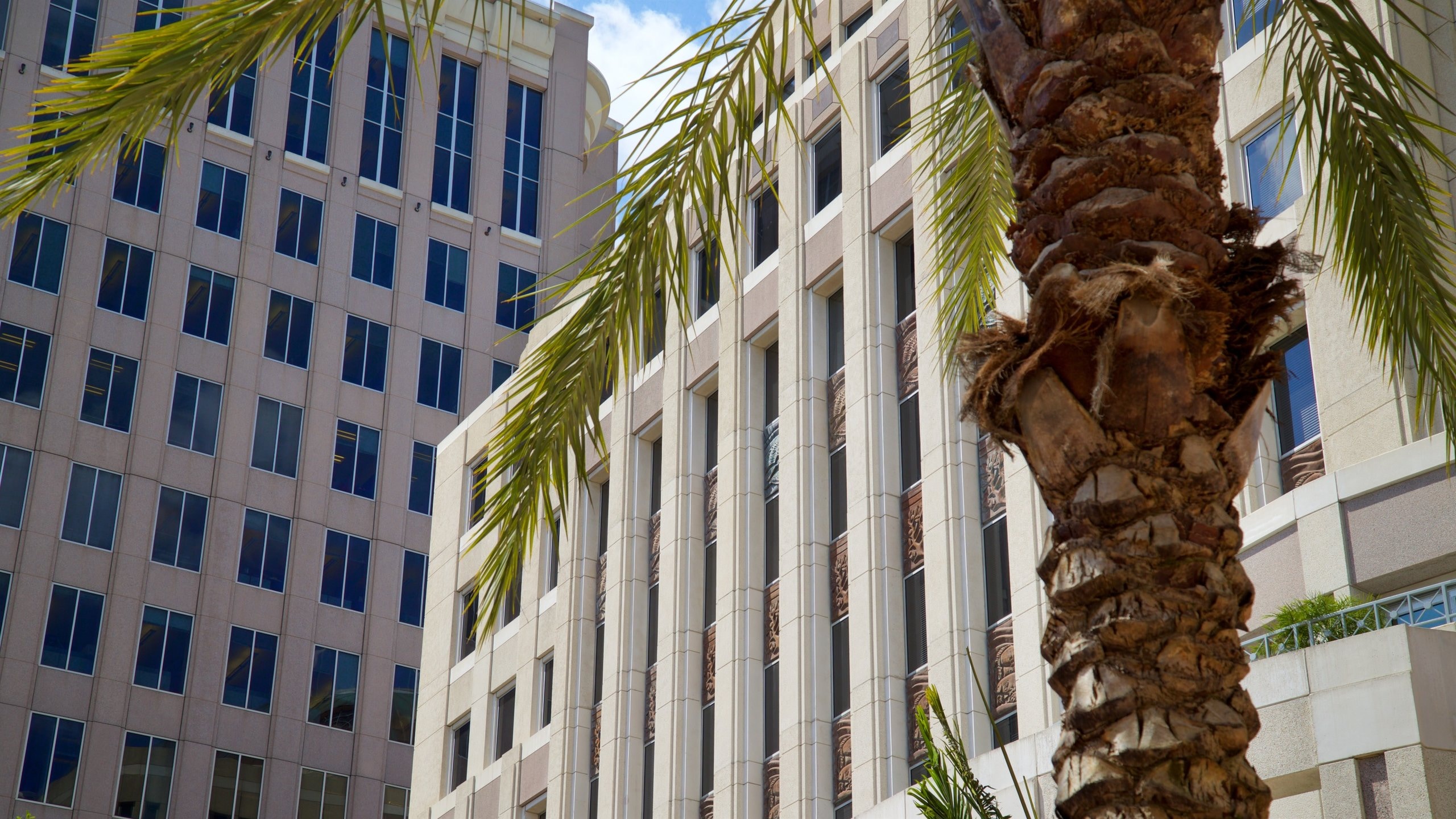 オーランド シティ ホール オーランド旅行 エクスペディア