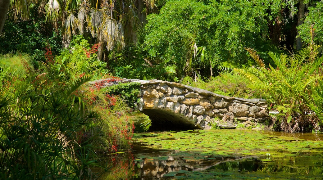 McKee Botanical Garden which includes a pond, a bridge and wildflowers