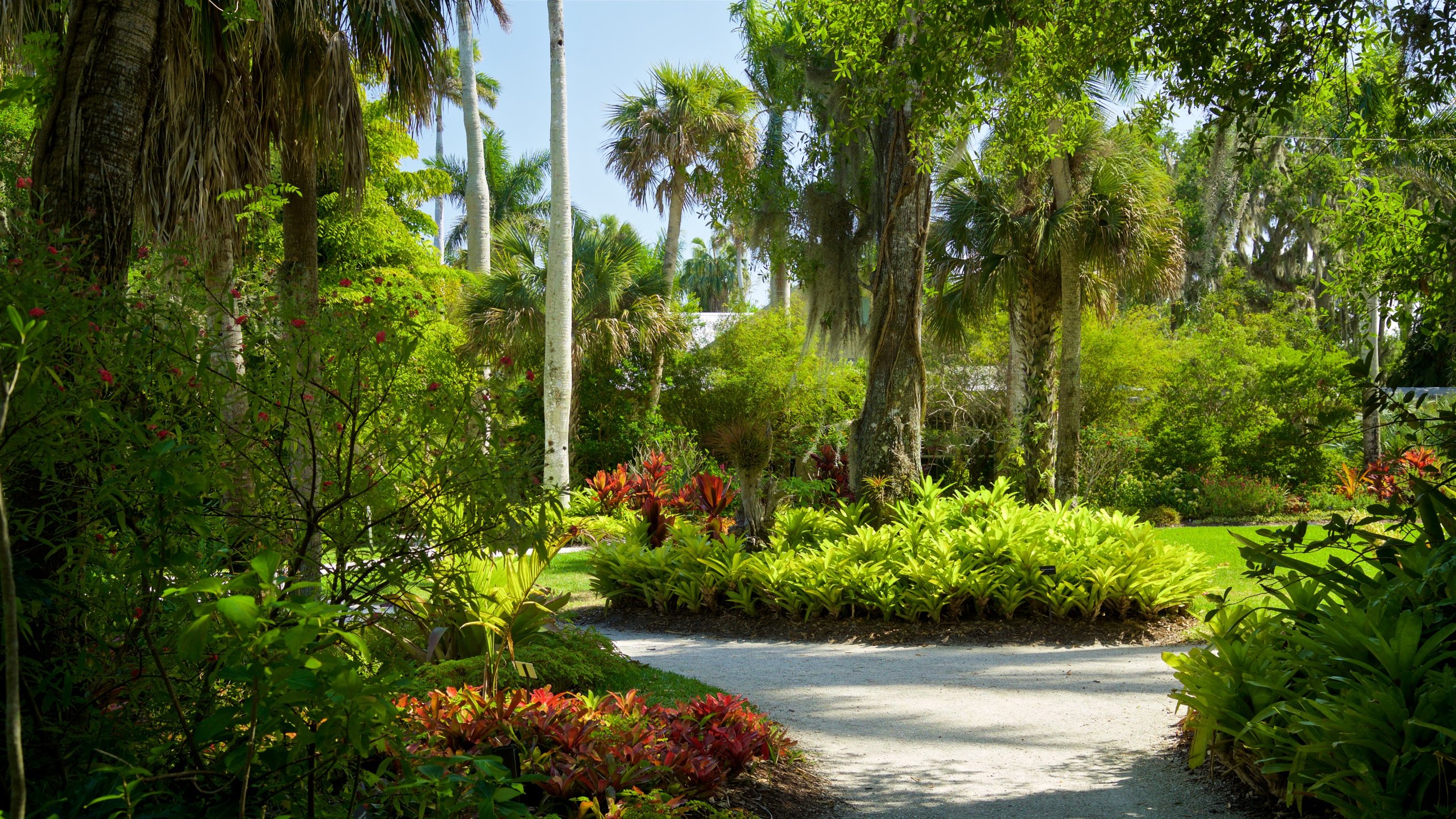 Botanical vero beach gardens water