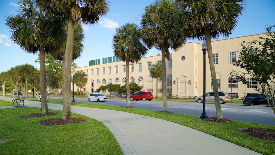 Senator Beth Johnson Park