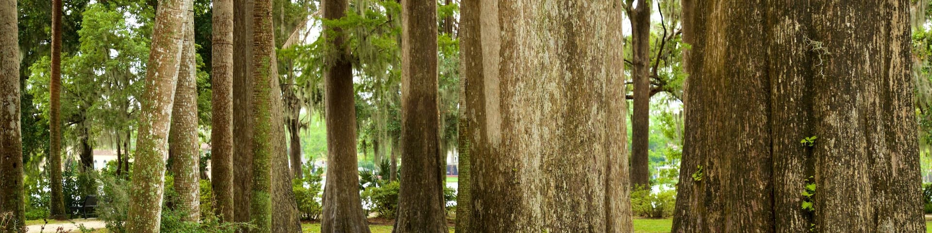 Kraft Azalea Gardens featuring a park
