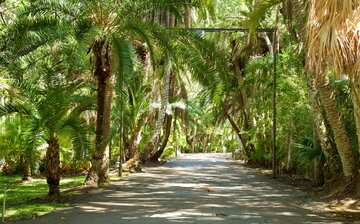 Visit Joy and Gordon Patterson Botanical Garden in Melbourne ...