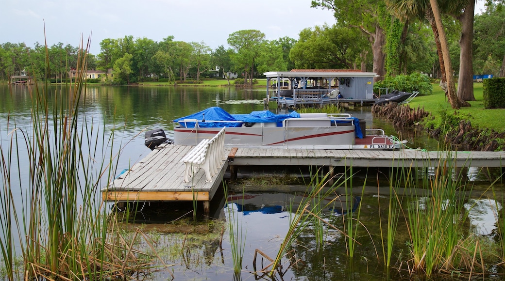 Lake Virginia showing a lake or waterhole