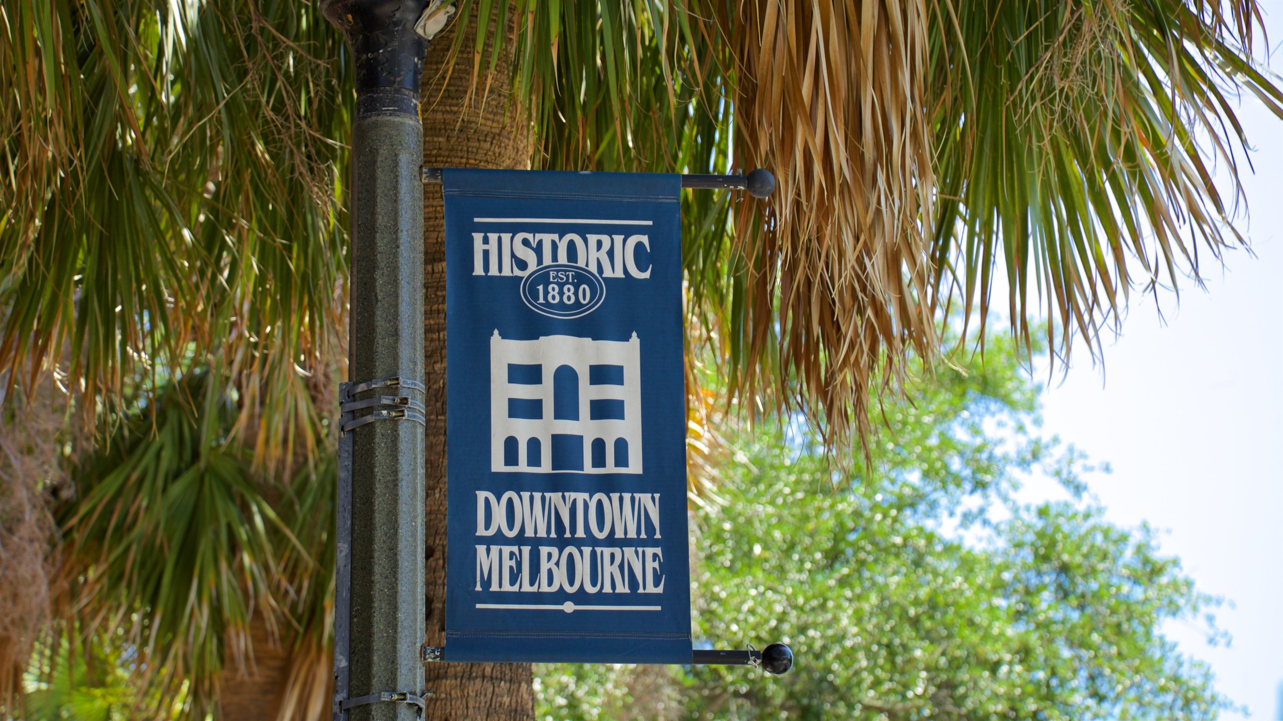 Downtown Melbourne showing signage
