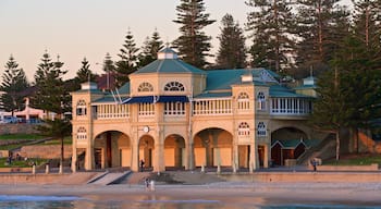 Cottesloe Beach showing general coastal views, a coastal town and a beach