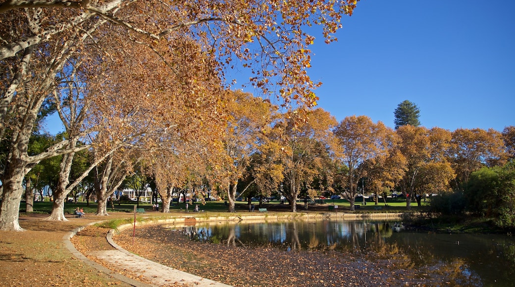 Mount Lawley
