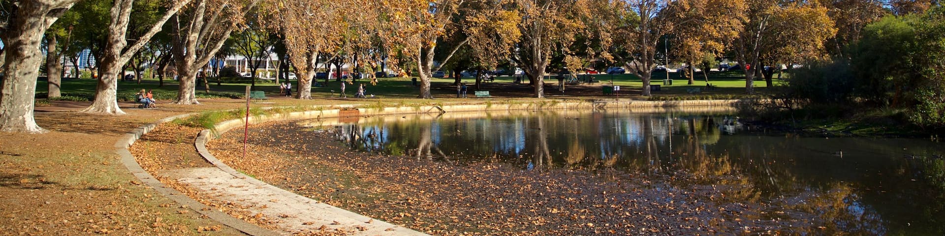 Hyde Park which includes a park, a pond and autumn leaves