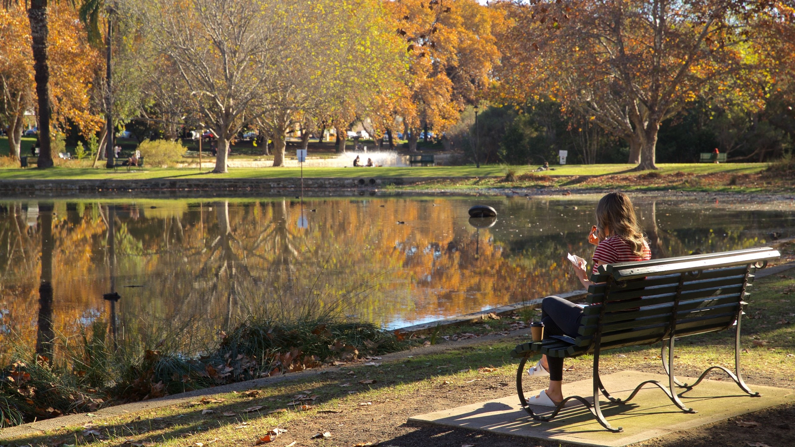 Mount Lawley Travel Guide Best of Mount Lawley, Perth Travel 2024