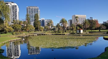 Queens Gardens featuring a pond and a park