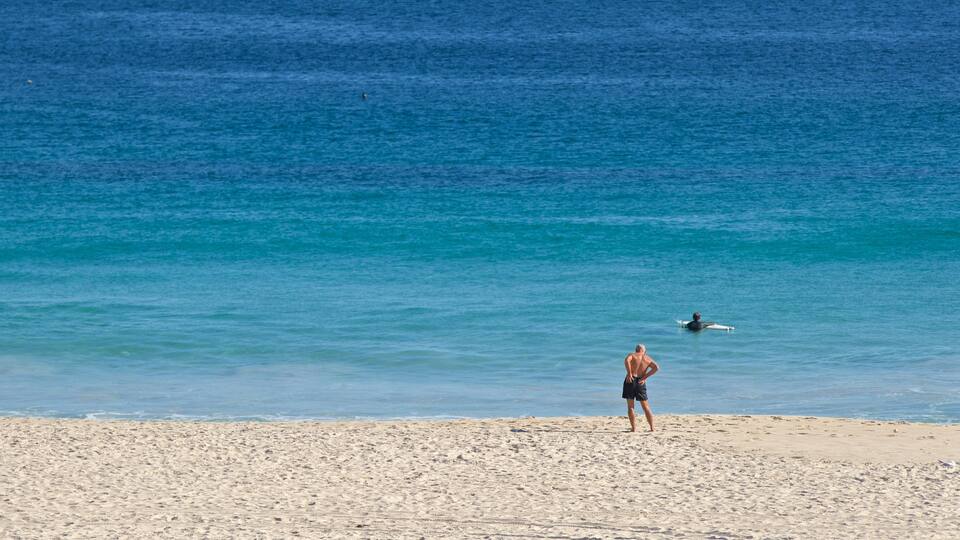 Sorrento Beach showing general coastal views and a beach as well as an individual male