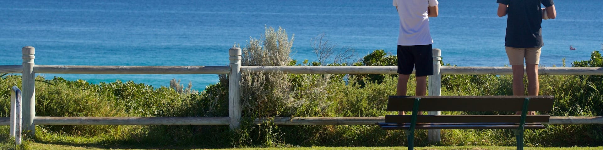 Sorrento Beach featuring a garden and general coastal views as well as a couple