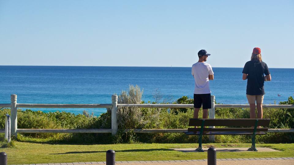 Sorrento Beach featuring a garden and general coastal views as well as a couple