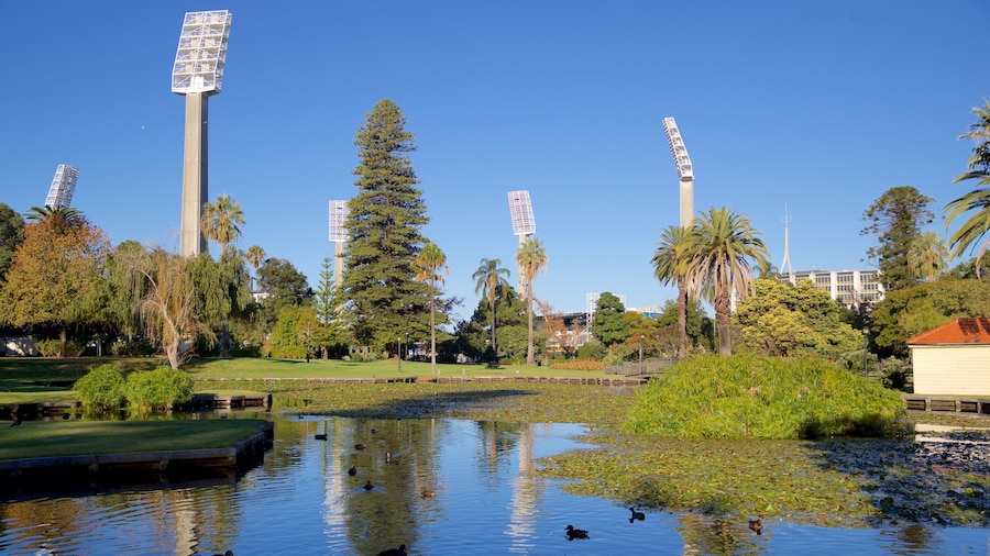Queens Gardens
