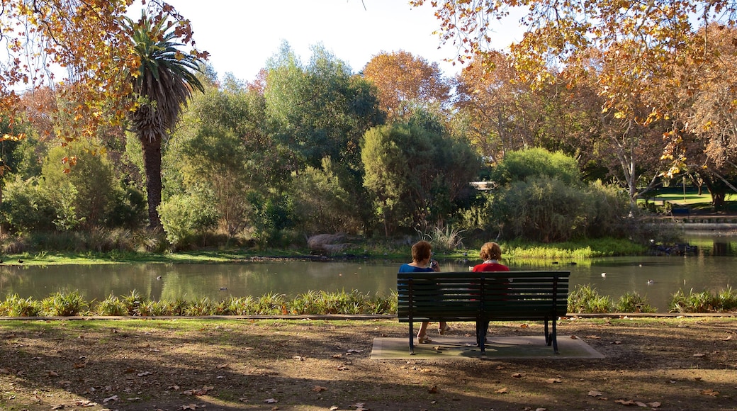 Hyde Park which includes a pond and a park as well as a couple