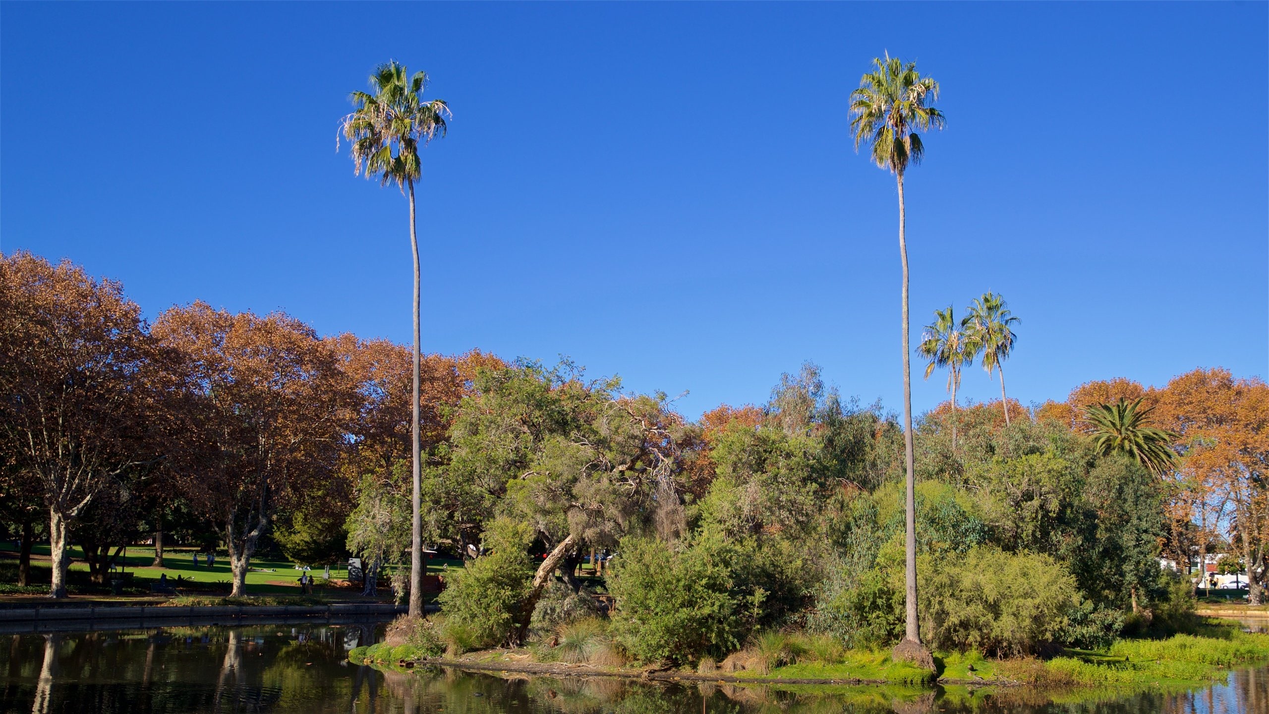Hyde Park in Perth City Centre Expedia