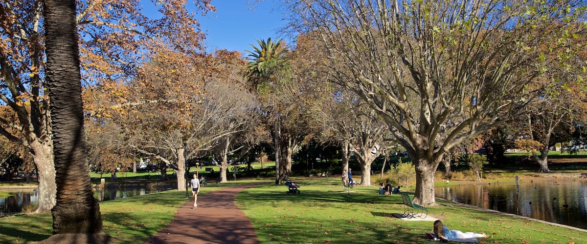 Hyde Park showing a park and a pond