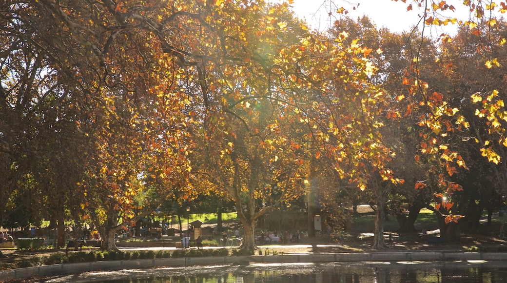 Hyde Park