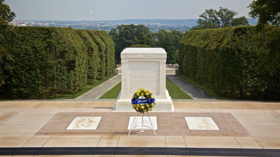 Tomb of the Unknown Soldier featuring flowers