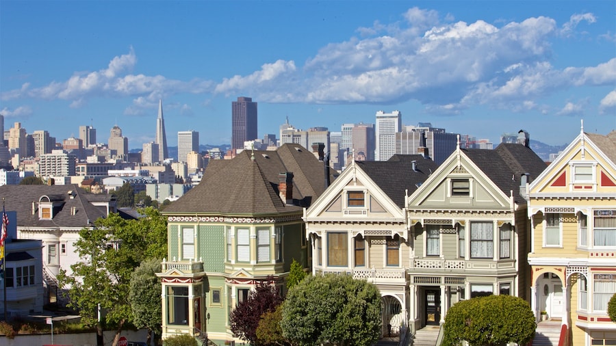 Painted Ladies