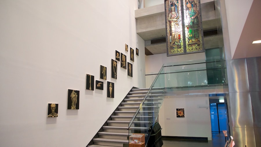 Museo de arte Ian Potter