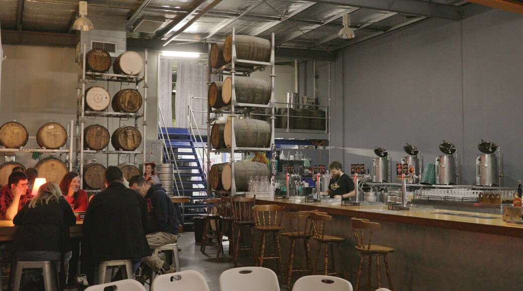 Bacchus Brewing Co.