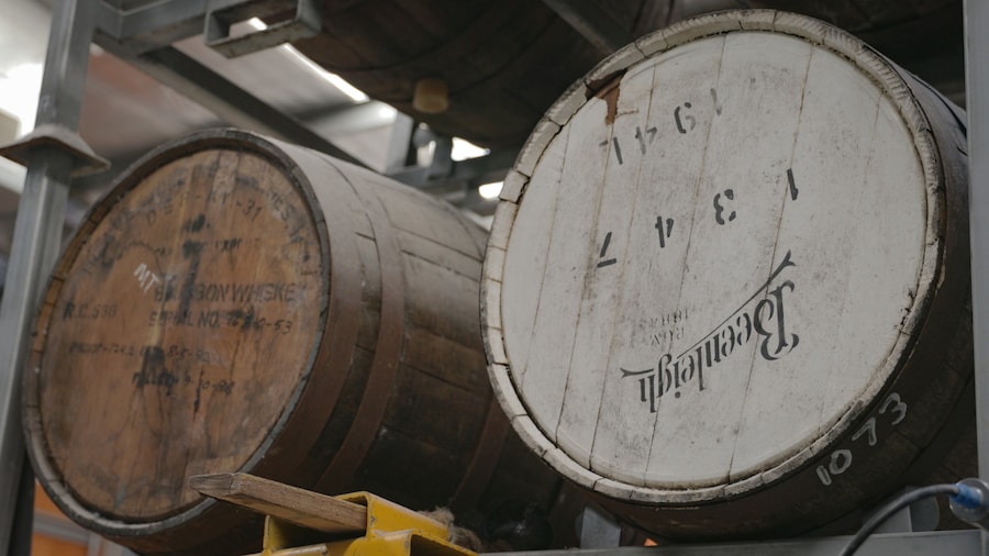 Bacchus Brewing Co.