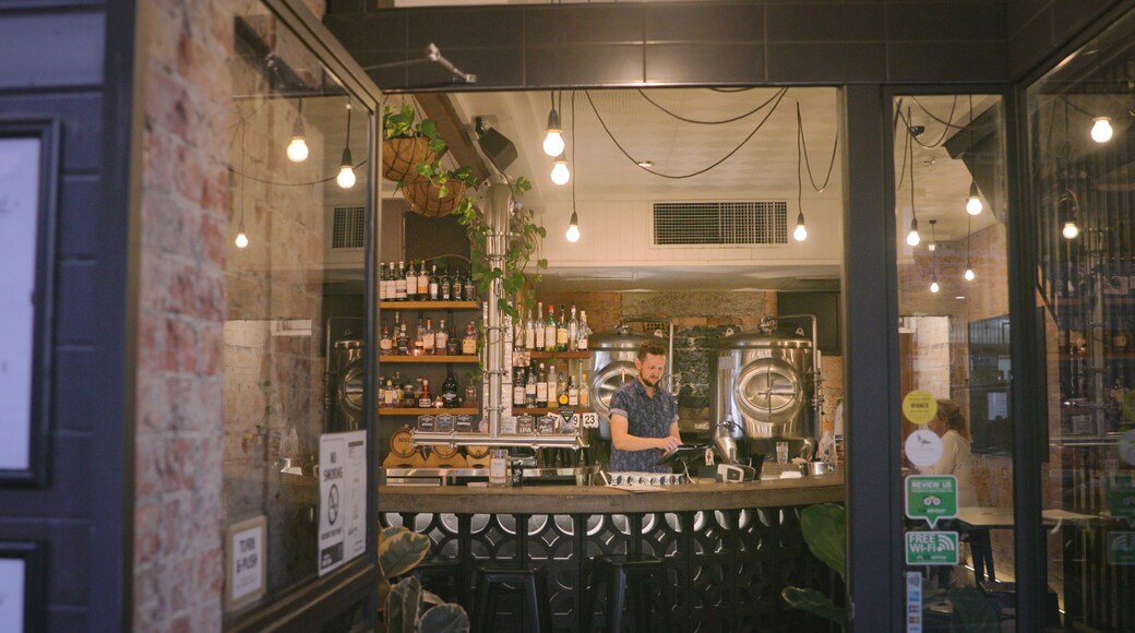 The Catchment Brewing Co. showing a bar as well as an individual male