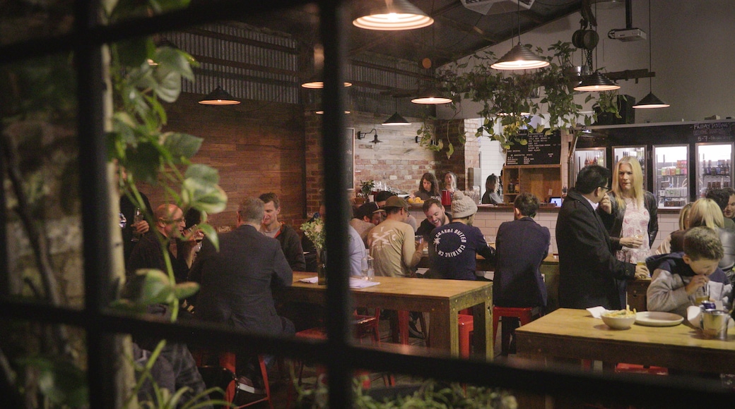 The Public Brewery showing a bar, interior views and nightlife