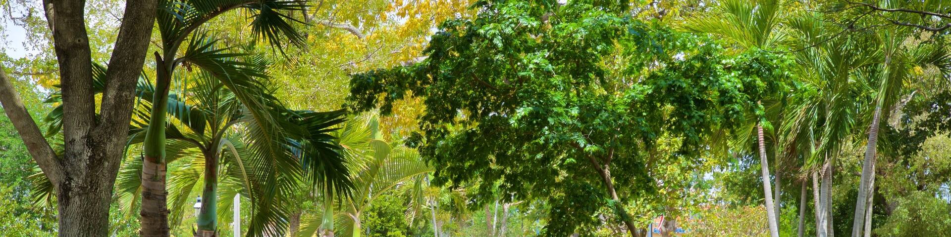 Cuban Memorial Boulevard showing a park