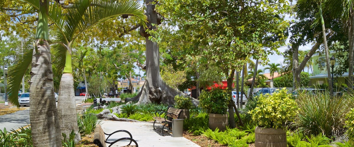 Cuban Memorial Boulevard which includes a garden