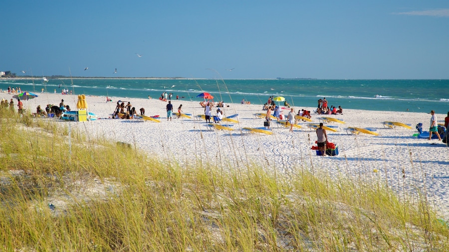 St. Pete Beach showing general coastal views and a beach as well as a small group of people