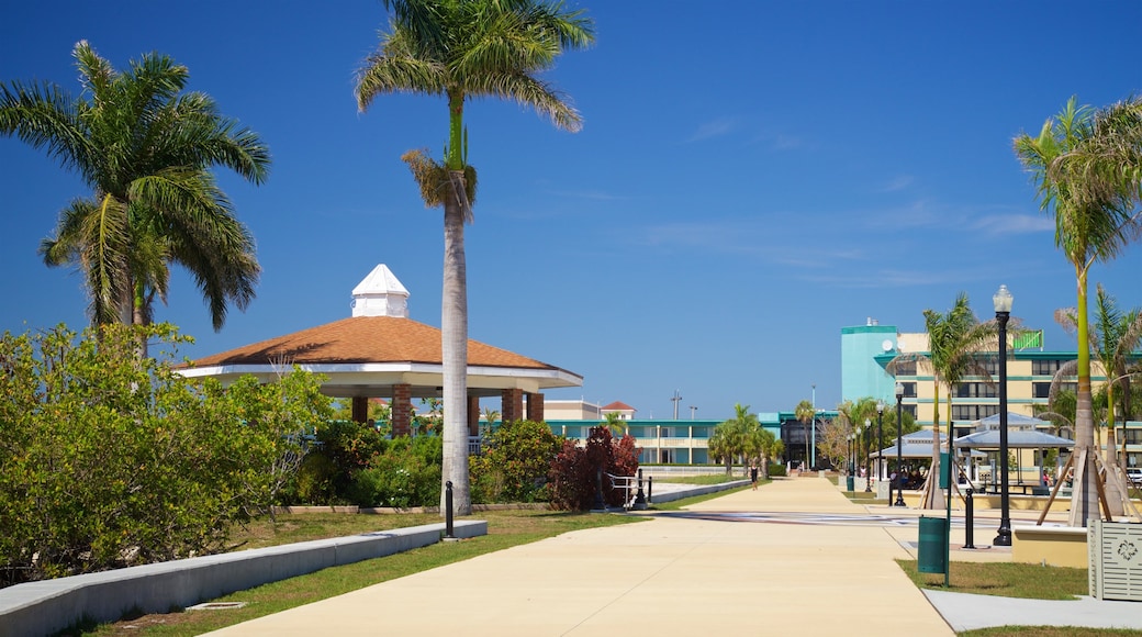 Punta Gorda featuring a garden