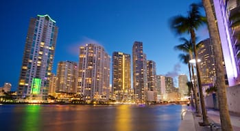 Downtown Miami which includes night scenes, a city and a river or creek