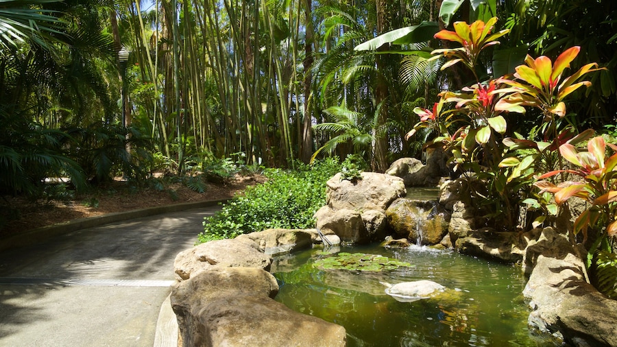 Sunken Gardens