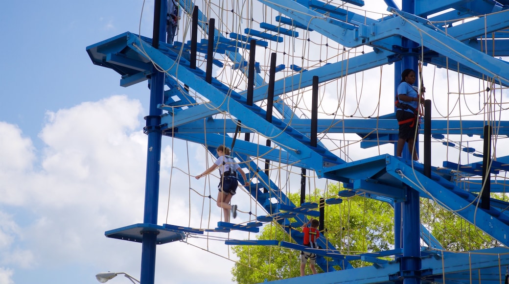 Museum of Science and Industry featuring a suspension bridge or treetop walkway as well as an individual femail