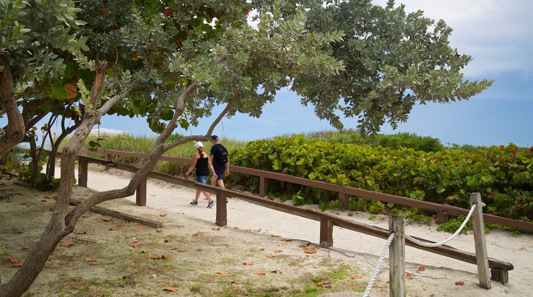 South Pointe Park featuring a beach and general coastal views as well as a couple