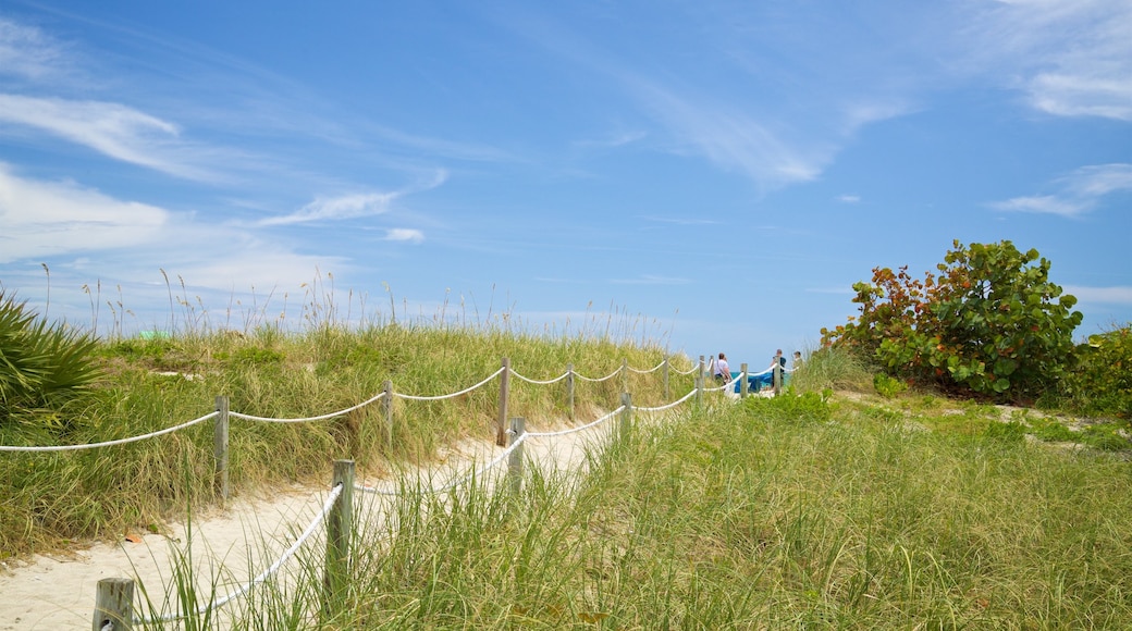 Lummus Park Beach showing a sandy beach