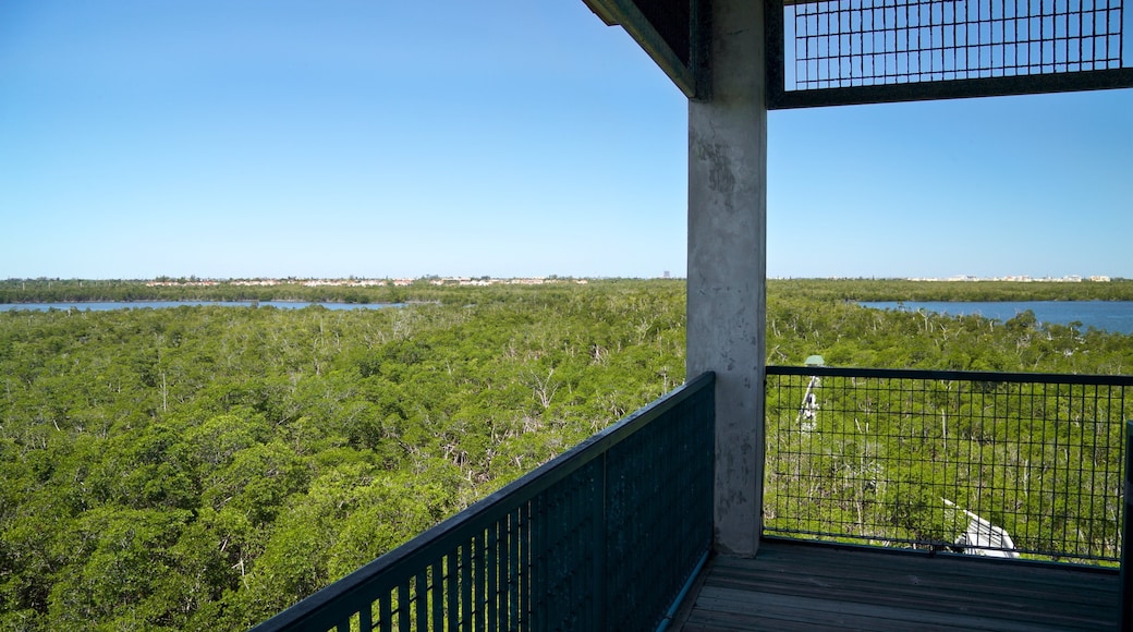 Anne Kolb Nature Center showing forest scenes, views and landscape views