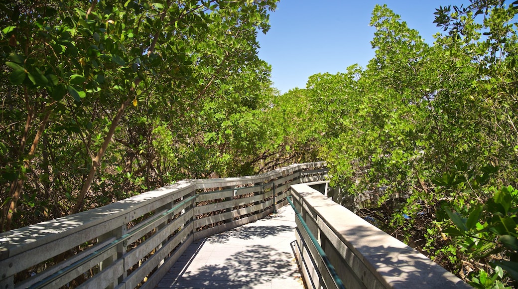 Anne Kolb Nature Center which includes a bridge and forests