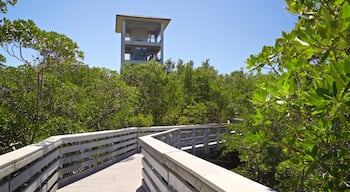 Anne Kolb Nature Center showing forest scenes and a bridge