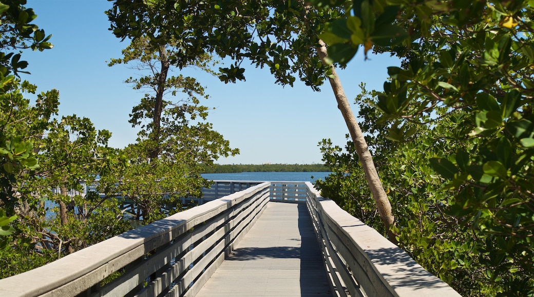 Anne Kolb Nature Center
