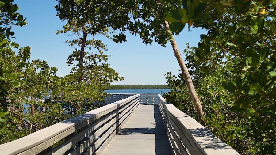 Anne Kolb Nature Center
